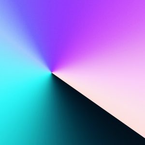 Timeless Classic Collection